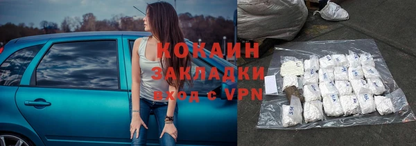 твердый Арсеньев