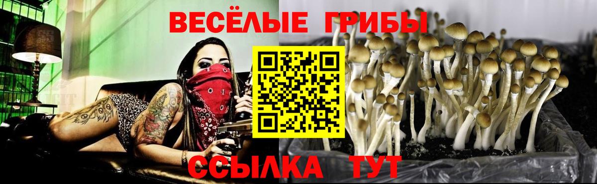 Ступино  Псилоцибиновые грибы Magic Shrooms  Вход с VPN 